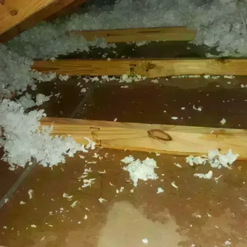 Attic Water Damage in Ellendale, ND